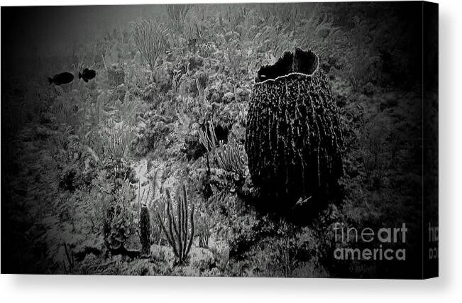 Black And White Canvas Print featuring the photograph Reef In The Cayman's by Kip Vidrine