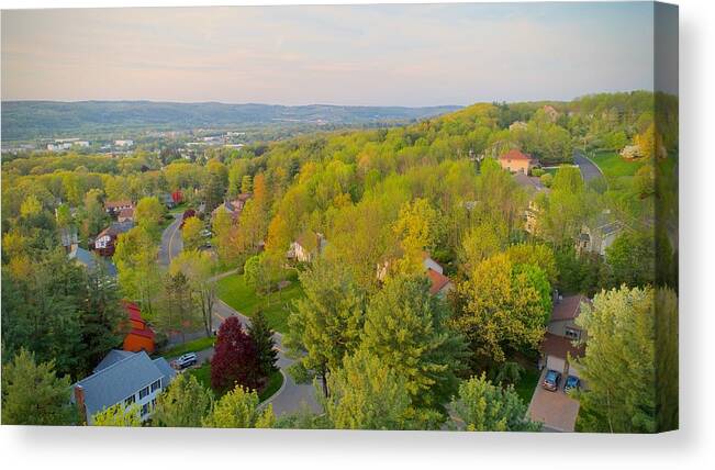Spring Canvas Print featuring the photograph S P R I N G by Anthony Giammarino