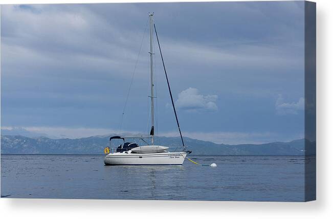 Lake Tahoe Canvas Print featuring the photograph Sailboat Lake Tahoe by Anthony Giammarino