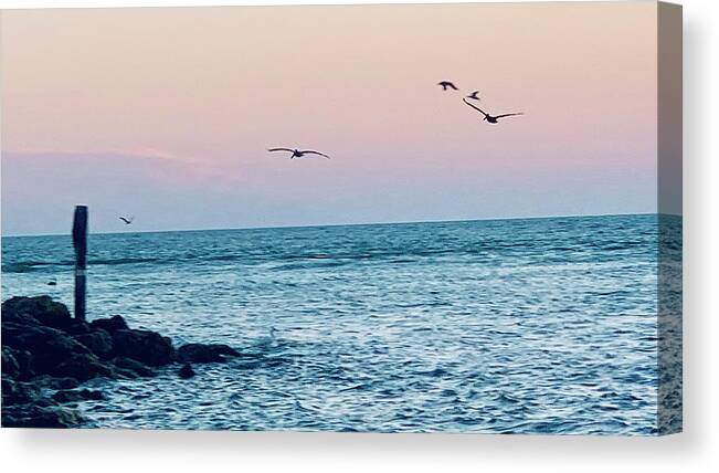 Birds Canvas Print featuring the photograph Seabirds Feeding at Sunset in Captiva Island Florida off the Jetty by Shelly Tschupp