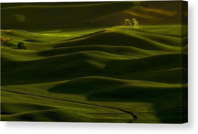 Spring Canvas Print featuring the photograph Spring Rolling Hills by Lydia Jacobs