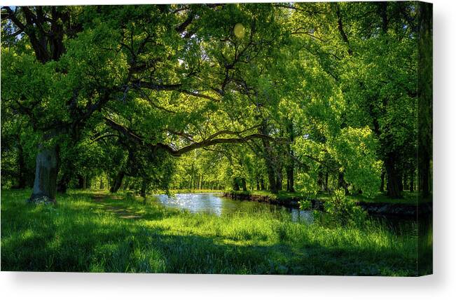 Panorama Canvas Print featuring the photograph Summer Morning in the Park by Nicklas Gustafsson