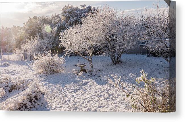 Snow Canvas Print featuring the photograph Texas Snow Morning by Ivars Vilums