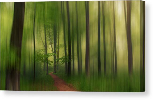 Blur Canvas Print featuring the photograph The Green Forest. by Leif Lndal