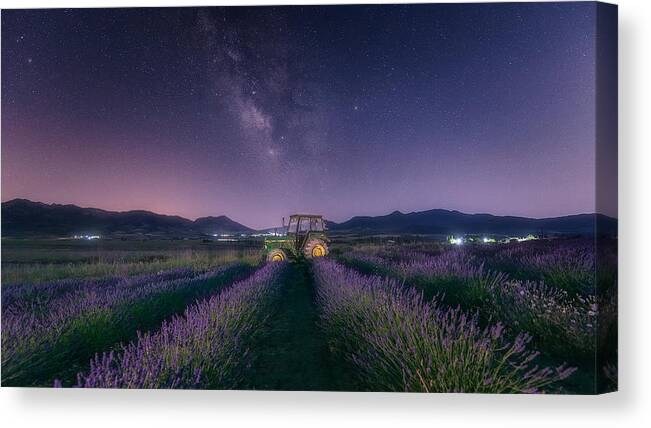 Sky Canvas Print featuring the photograph The Tractor And The Lavender by Jose Antonio Trivio Sanchez