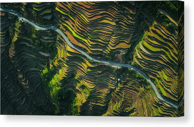Terraces Canvas Print featuring the photograph The Way Of Terraced Fields by ??tianqi