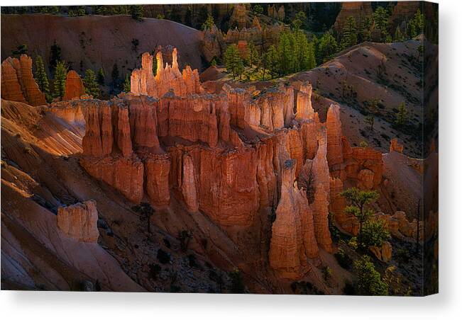 Tree Canvas Print featuring the photograph Translucent Hoodoos by Lydia Jacobs