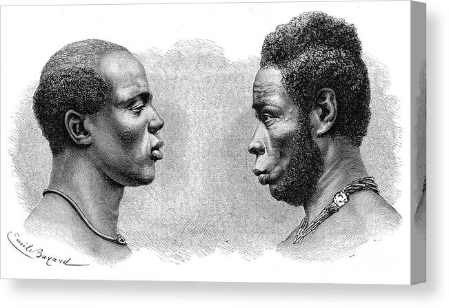 Engraving Canvas Print featuring the drawing Two Men From French Guinea by Print Collector