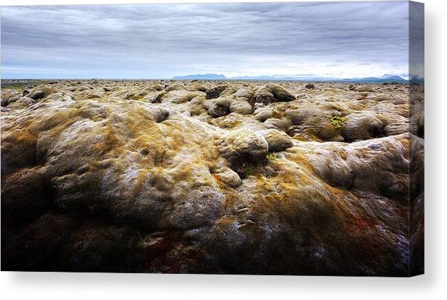 Landscape Canvas Print featuring the photograph Unusual Iceland Landscape With Lava by Ivan Kmit