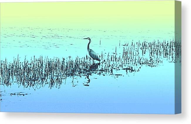 Bird Waiting For A Fish Canvas Print featuring the digital art Waiting for Lunch by Ally White