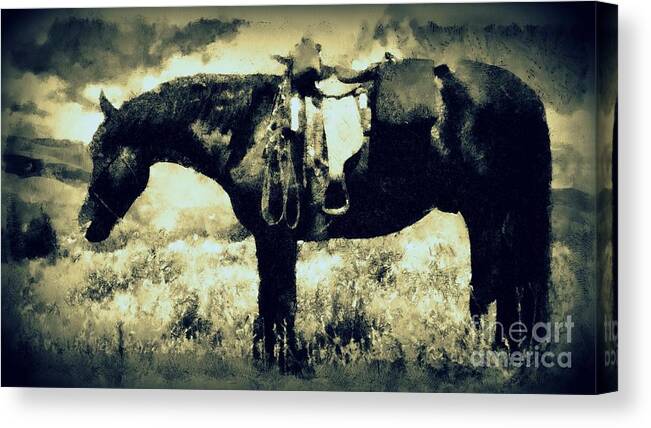 Horse Canvas Print featuring the photograph Western Horse - Long Trail Home by Janine Riley