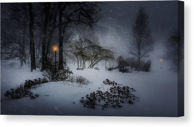 Mood Canvas Print featuring the photograph Winter Storm Jonas by Yi Liang