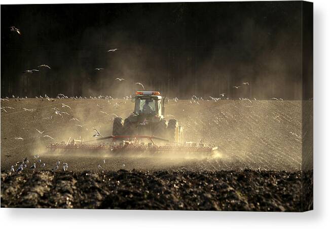Work Canvas Print featuring the photograph Work Out On The Field by Allan Wallberg