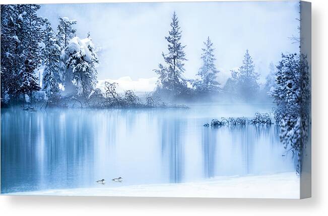 Winter Canvas Print featuring the photograph Yellowstone Winter Scene 6 by Siyu And Wei Photography