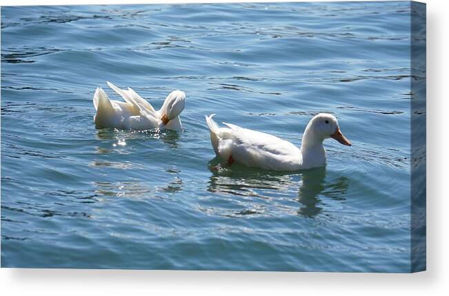  Canvas Print featuring the photograph Beauty In The Water by Demetrai Johnson