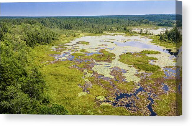  Canvas Print featuring the photograph Pine Barrens Landscape by Louis Dallara