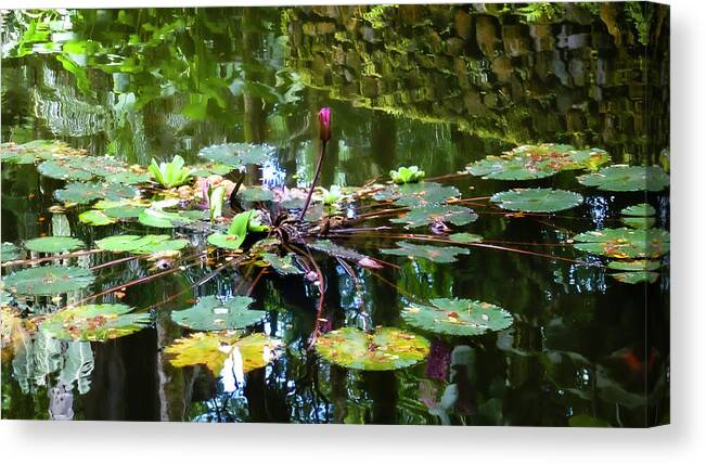 Hawaii Image Canvas Print featuring the photograph Hawaii Lily Pond Photography 20150713-923 by Rowan Lyford