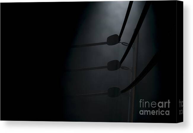 Boxing champion king of the ring Canvas Print / Canvas Art by Jacob Zelazny  - Fine Art America