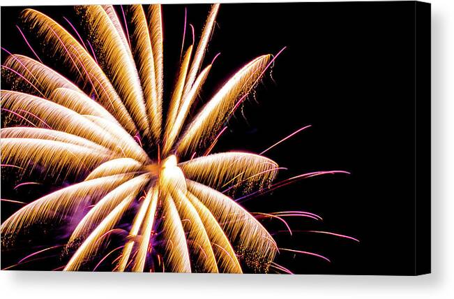 Fireworks Romeoville Illinois Yellow Purple Canvas Print featuring the photograph Fireworks in Romeoville, Illinois #4 by David Morehead