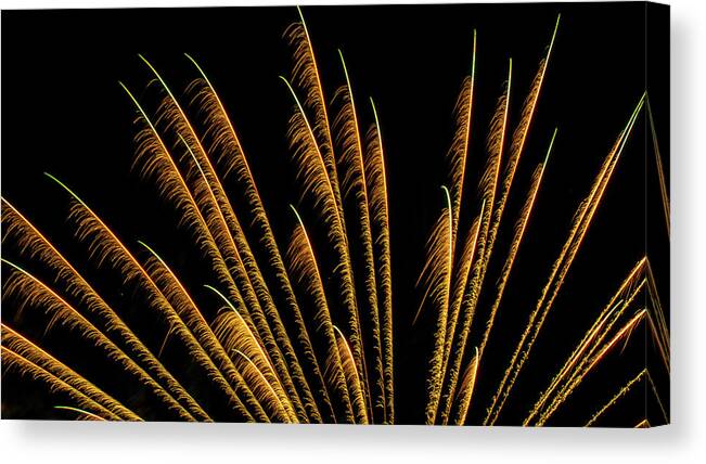 Fireworks Romeoville Canvas Print featuring the photograph Fireworks in Romeoville, Illinois #7 by David Morehead