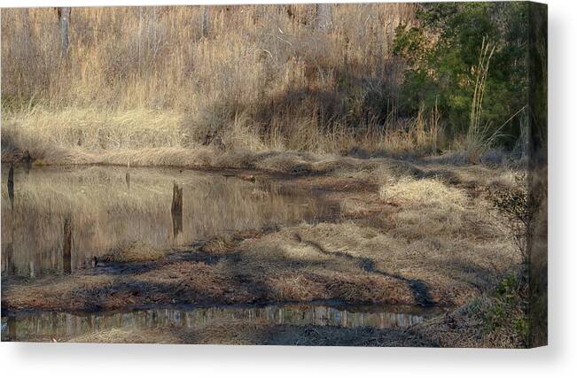 Piedmont National Wildlife Refuge Canvas Print featuring the photograph A Winter Grassed Pond by Ed Williams