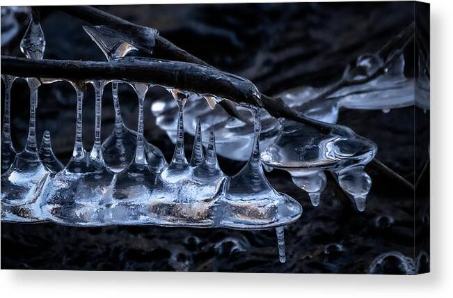Ice Canvas Print featuring the photograph A Winter Melody by Linda Bonaccorsi