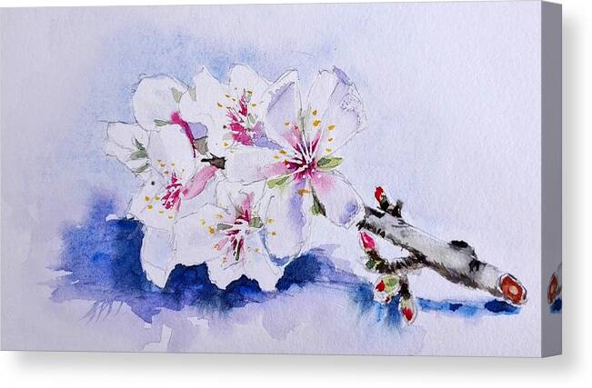 Flowers Canvas Print featuring the painting Almond Blossom by Sandie Croft