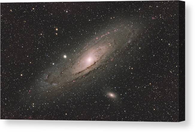Andromeda Canvas Print featuring the photograph Andromeda Galaxy by Brian Weber