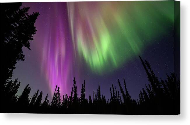 Aurora Canvas Print featuring the photograph Aurora Purple Haze 2 by William Kennedy