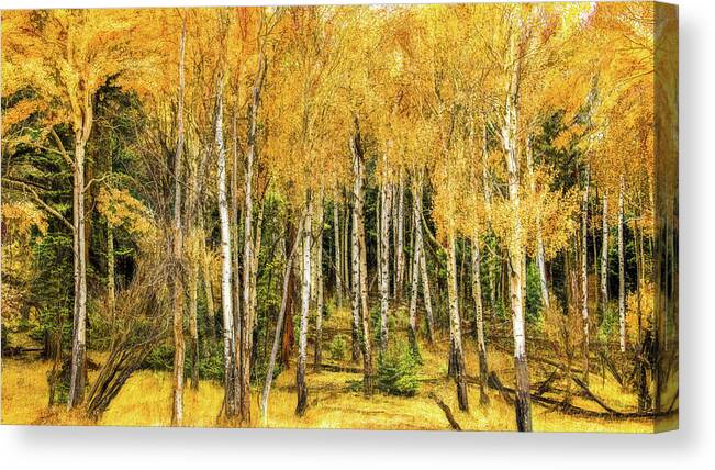 Wyoming Canvas Print featuring the photograph Autumn Gold by Marcy Wielfaert