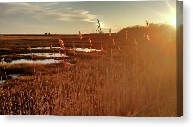Pawcatuck Canvas Print featuring the photograph Barn Island Golden Sunset - Pawcatuck CT by Kirkodd Photography Of New England