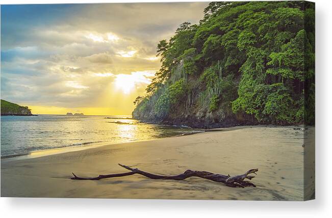 Tropical Rainforest Canvas Print featuring the photograph Beach and Jungle at Sunset in Costa Rica by Kryssia Campos