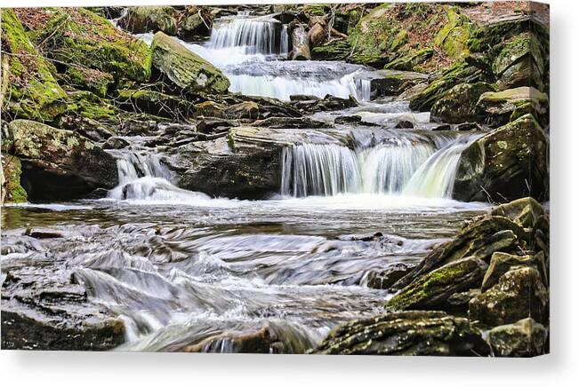 Waterfall Canvas Print featuring the photograph Beautiful Waterfall At Ricketts Glen by Scott Burd