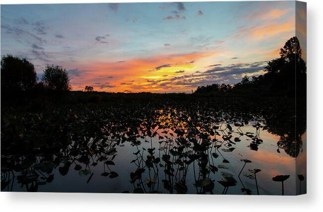 Prince William County Canvas Print featuring the photograph Before the Sun Rises by Tom Wahl