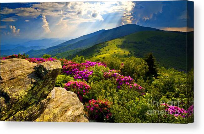 Blue Ridge Parkway Canvas Print featuring the mixed media Blue Ridge Parkway Catawba Rhododendrons by Sandi OReilly