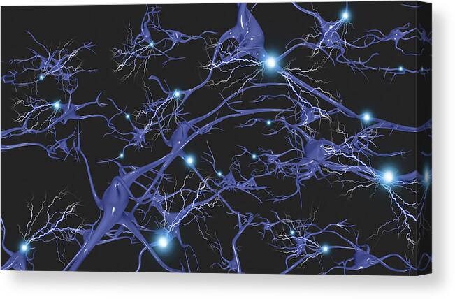 Mental Health Canvas Print featuring the drawing Brain cells with electrical firing by Bruce Rolff/Stocktrek Images