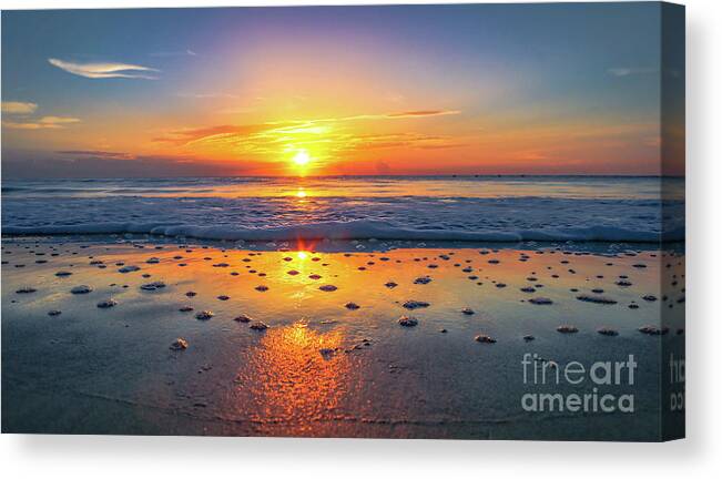 Florida Canvas Print featuring the photograph Bubbling Up by Phil Cappiali Jr