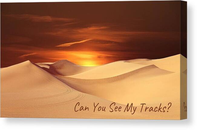 Sand Canvas Print featuring the photograph Can You See My Tracks? by Nancy Ayanna Wyatt
