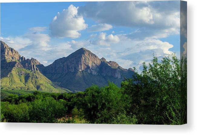 Arizona Canvas Print featuring the photograph Catalina Mountains P24861-R by Mark Myhaver