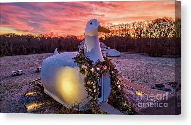 Duck Canvas Print featuring the photograph Christmas Duck by Sean Mills