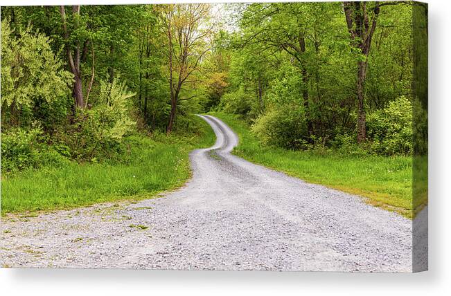 Road Canvas Print featuring the photograph Country Road Shohola PA by Amelia Pearn