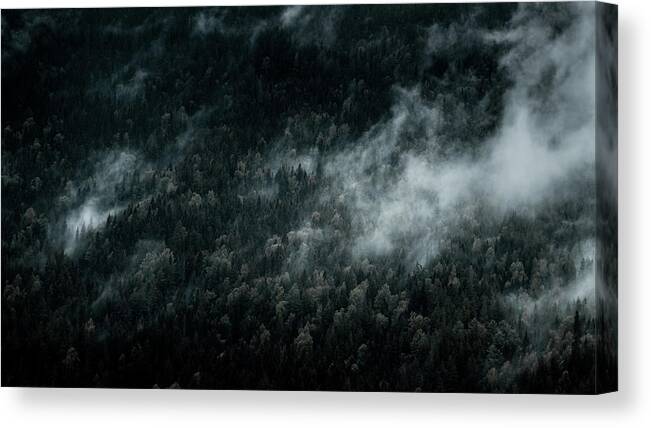 Fog Canvas Print featuring the photograph Dark Foggy Forests by Nicklas Gustafsson