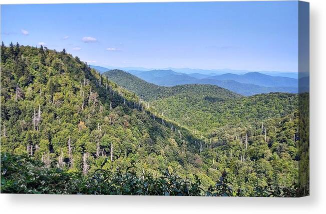 Scenic Canvas Print featuring the photograph East Fork by Allen Nice-Webb