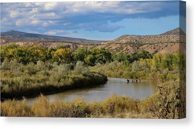 Copyright Elixir Images Canvas Print featuring the photograph Elk Rio Grand River Abiquiu New Mexico by Santa Fe