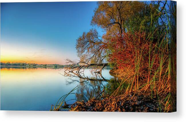 Trees Canvas Print featuring the photograph Fallen Tree Reflection by Dee Potter