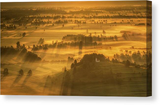 Field Canvas Print featuring the photograph Fields of Gold by Piotr Skrzypiec