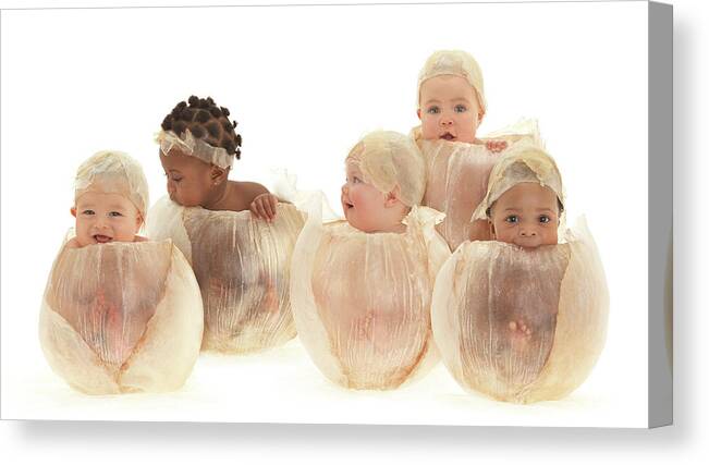 Baby Canvas Print featuring the photograph Five Little Flower Bulbs by Anne Geddes