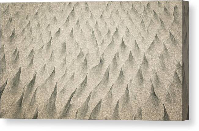Sand Canvas Print featuring the photograph Flames In The Sand by Gary Geddes