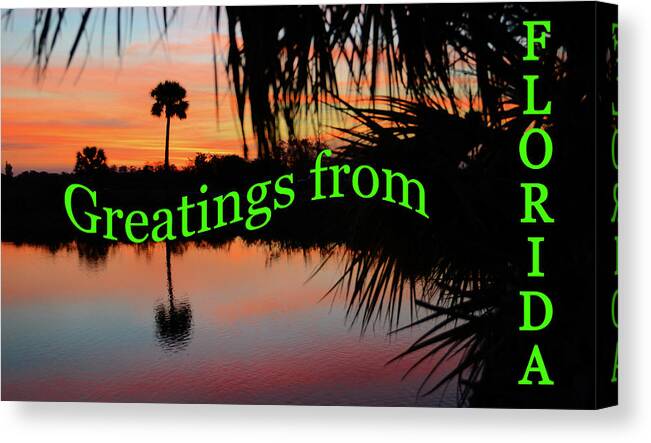 Florida Postcard Canvas Print featuring the photograph Florida everglades greatings card by David Lee Thompson