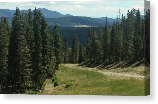 New Mexico Canvas Print featuring the photograph Forest View by Lea Rhea Photography